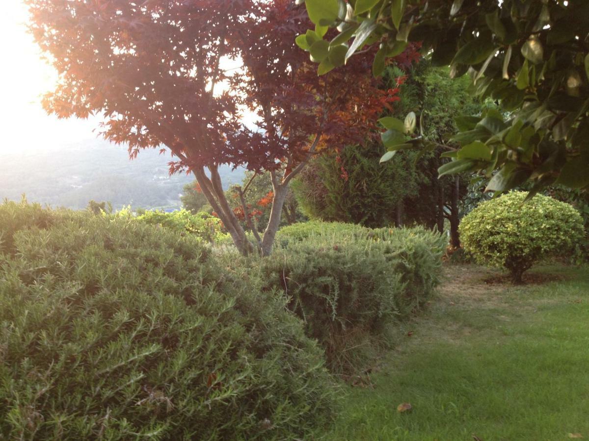 Quinta Da Calcada Villa Melgaco Bagian luar foto